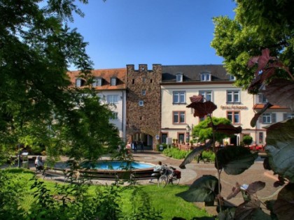 Foto: Schwan